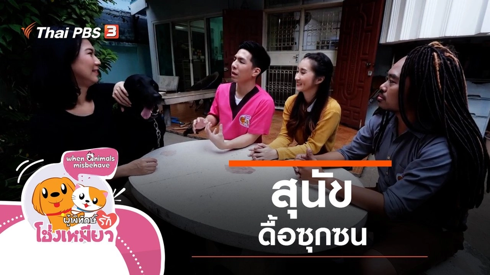 สุนัขดื้อซุกซน