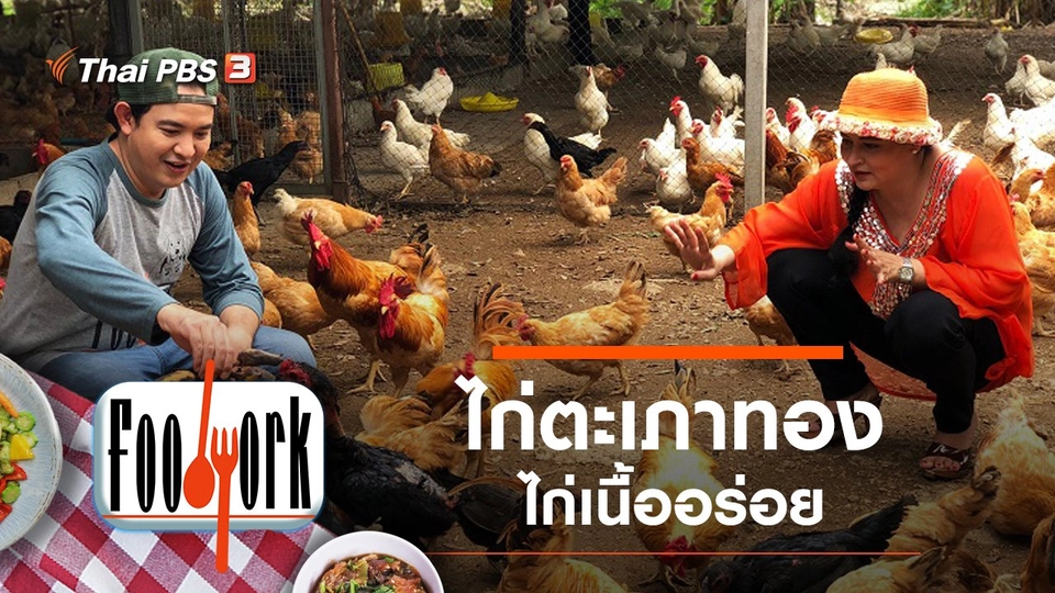 ไก่ตะเภาทอง