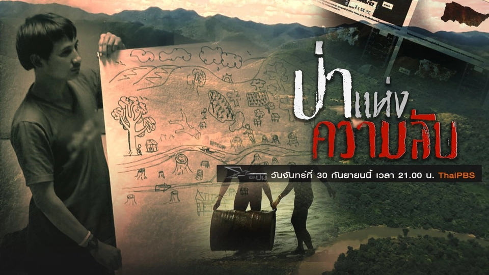 ป่าแห่งความลับ