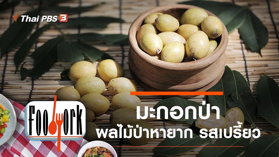 มะกอกป่า