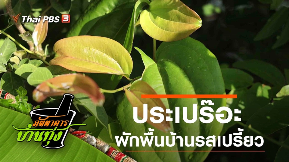 ประเปร๊อะ