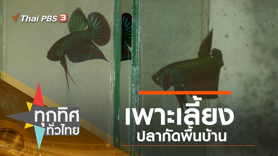 ประเด็นข่าว (30 ก.ย. 62)