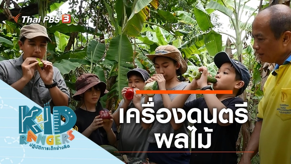 เครื่องดนตรีผลไม้