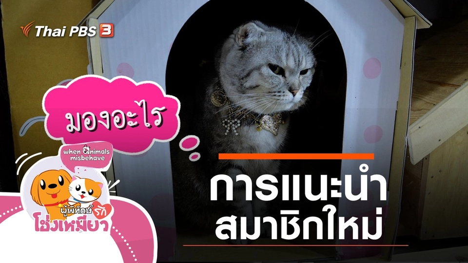 การแนะนำสมาชิกใหม่