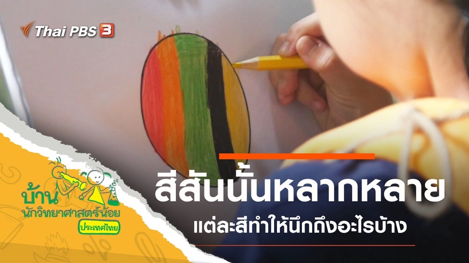 สีสันนั้นหลากหลาย