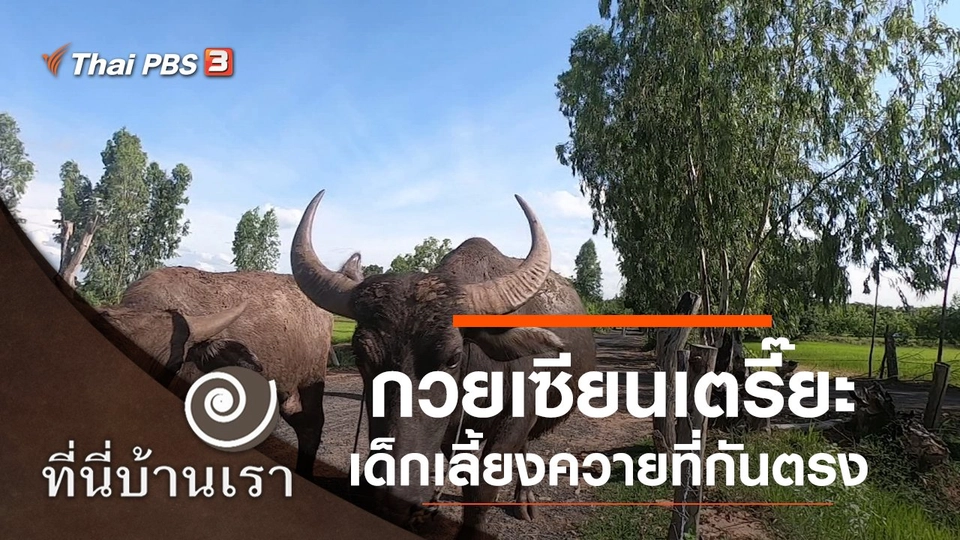 กวยเซียนเตรี๊ยะ