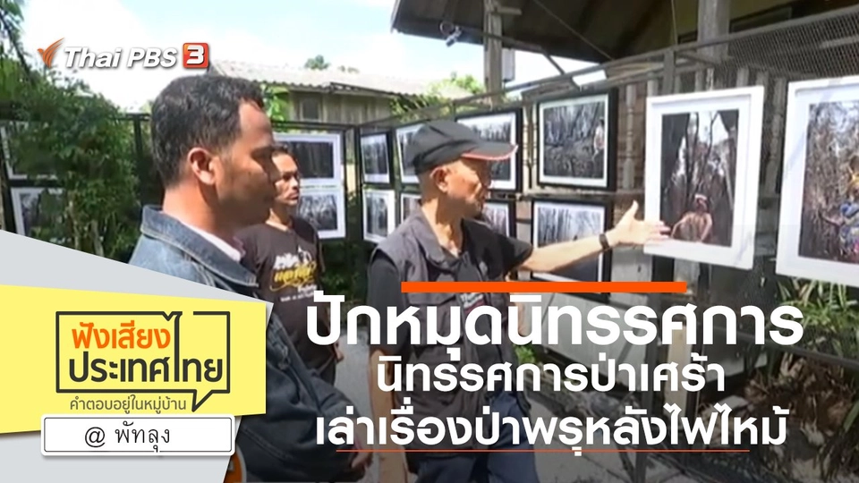 Online first Ep.82 ปักหมุด “นิทรรศการป่าเศร้า” เล่าเรื่องป่าพรุหลังไฟไหม้
