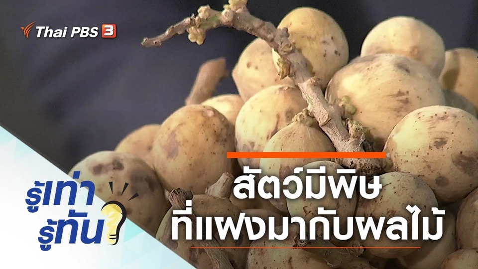 สัตว์มีพิษที่แฝงมากับผลไม้