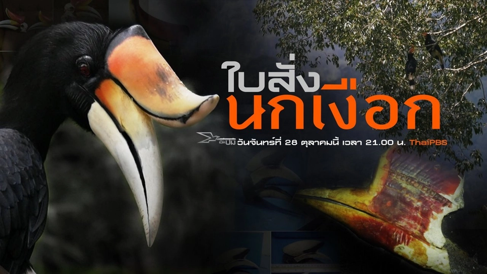 ใบสั่งนกเงือก