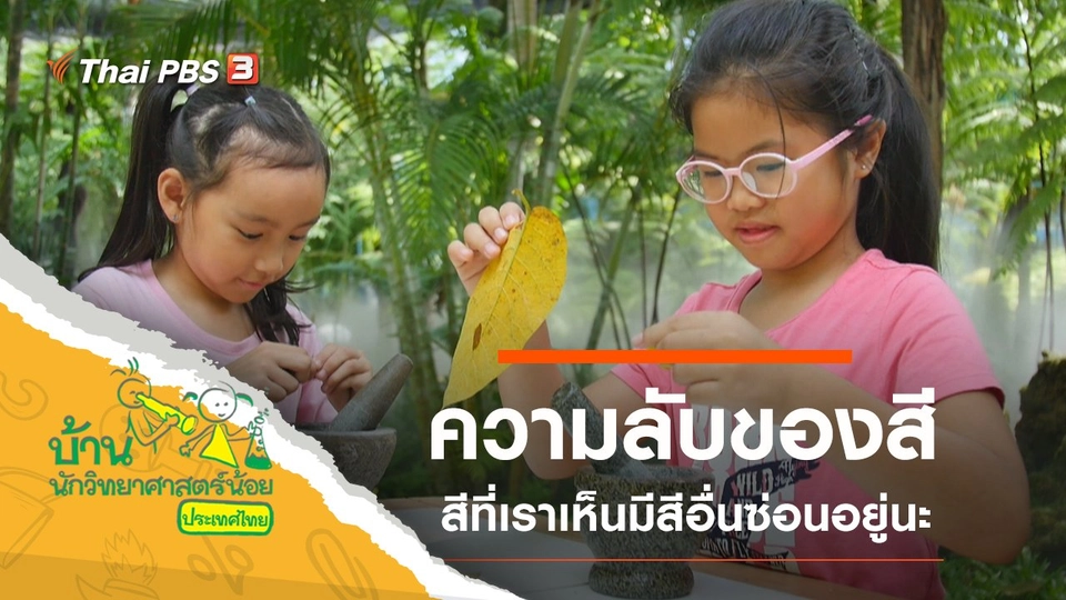 ความลับของสี