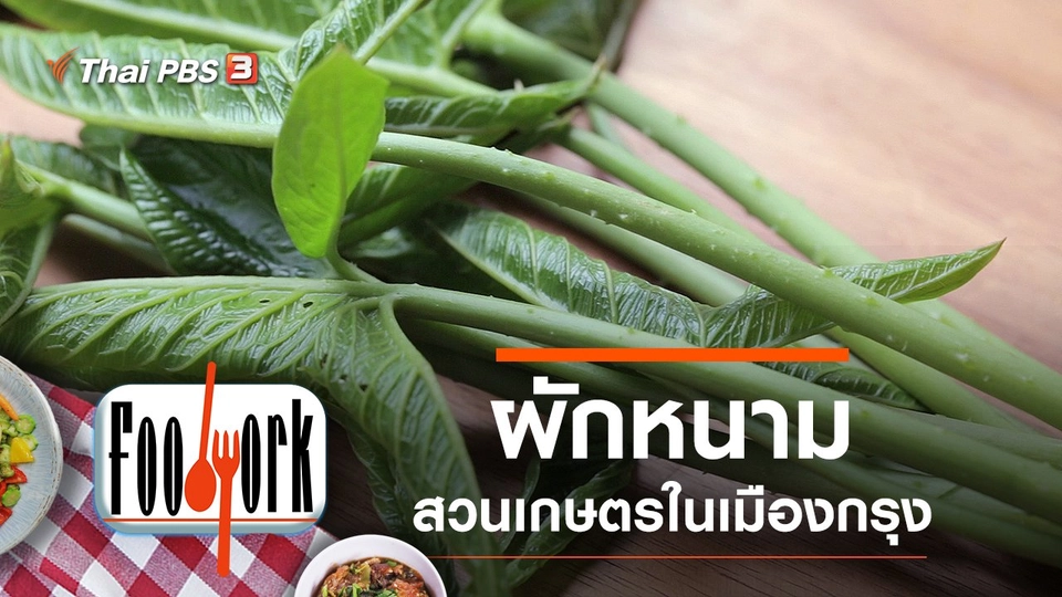 ผักหนาม