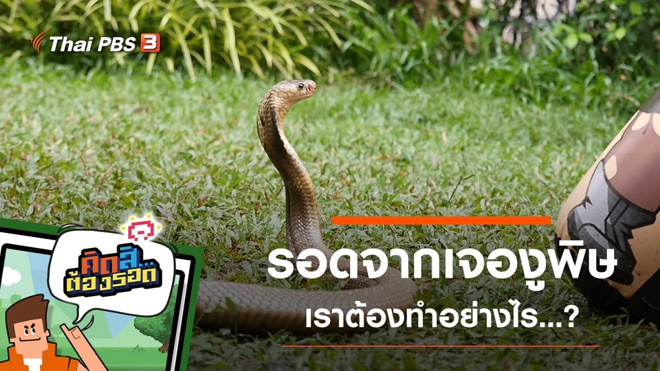 รอดจากการเจองูพิษ