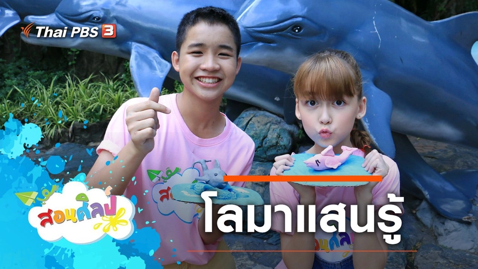 โลมาแสนรู้