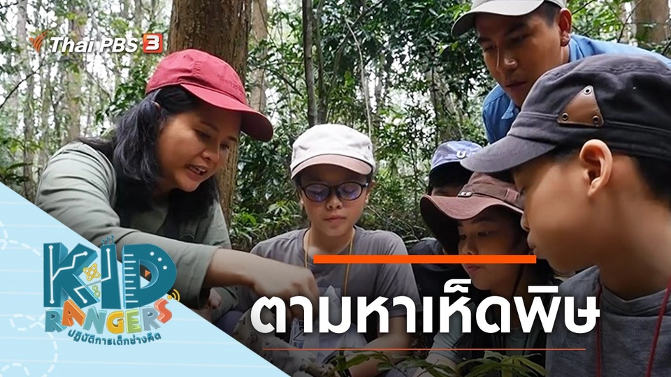 ตามหาเห็ดพิษ