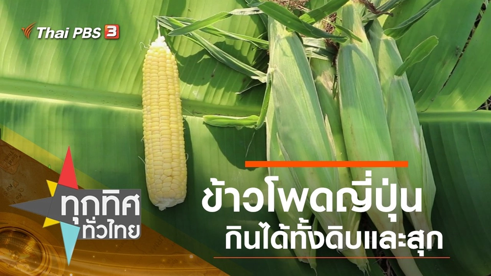 ประเด็นข่าว (7 พ.ย. 62)
