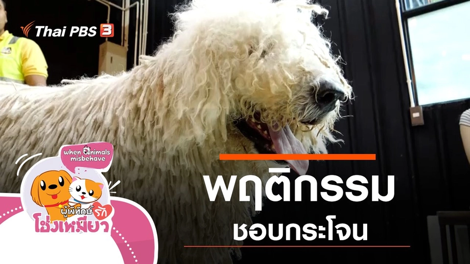 พฤติกรรมชอบกระโจน