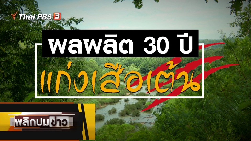 ผลผลิต 30 ปี แก่งเสือเต้น