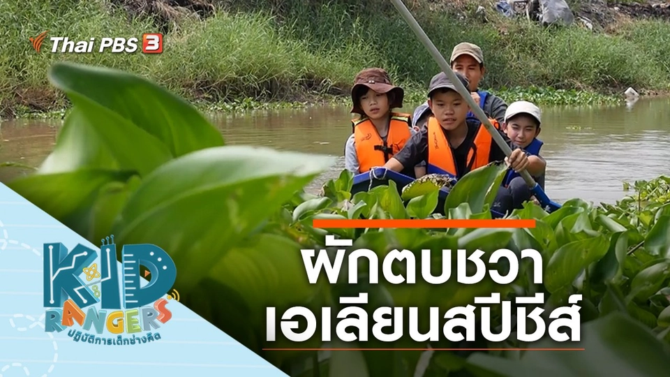 ผักตบชวาเอเลียนสปีชีส์