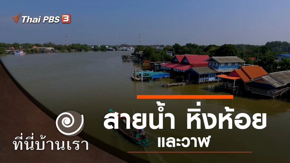 สายน้ำ หิ่งห้อย และวาฬ