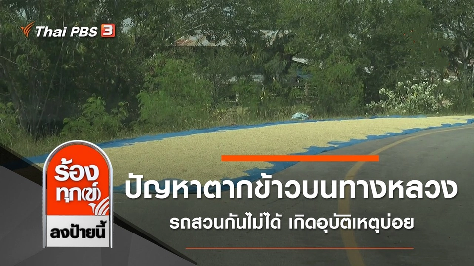 ปัญหาตากข้าวบนทางหลวง รถสวนกันไม่ได้ เกิดอุบัติเหตุบ่อย จ.นครราชสีมา