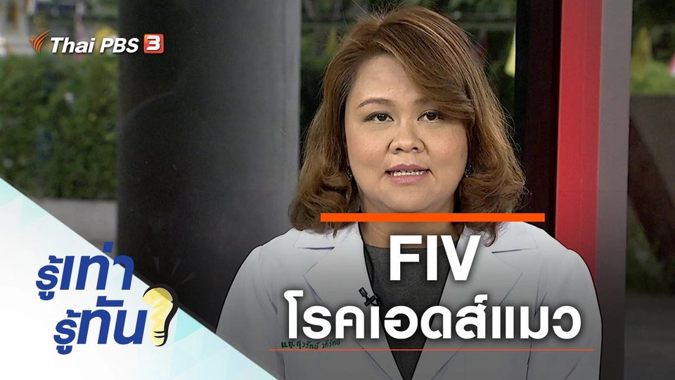 FIV โรคเอดส์แมว