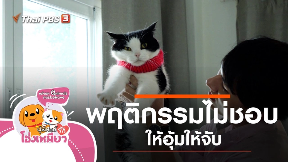 พฤติกรรมไม่ชอบให้อุ้มให้จับ