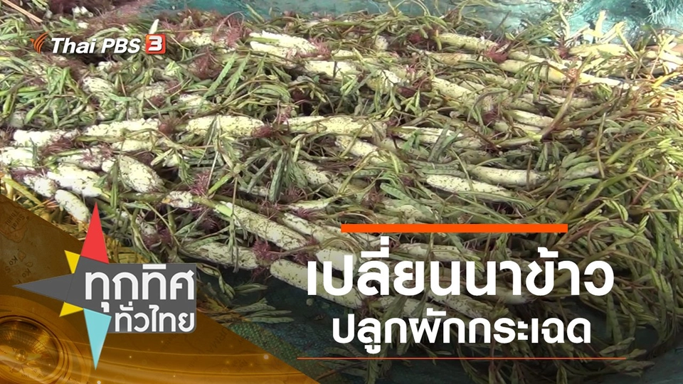 ประเด็นข่าว (15 พ.ย. 62)