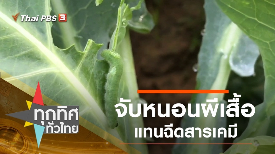 ประเด็นข่าว (18 พ.ย. 62)