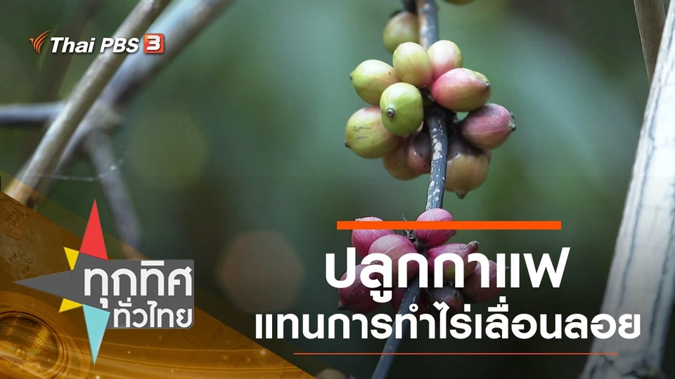 ประเด็นข่าว (27 พ.ย. 62)