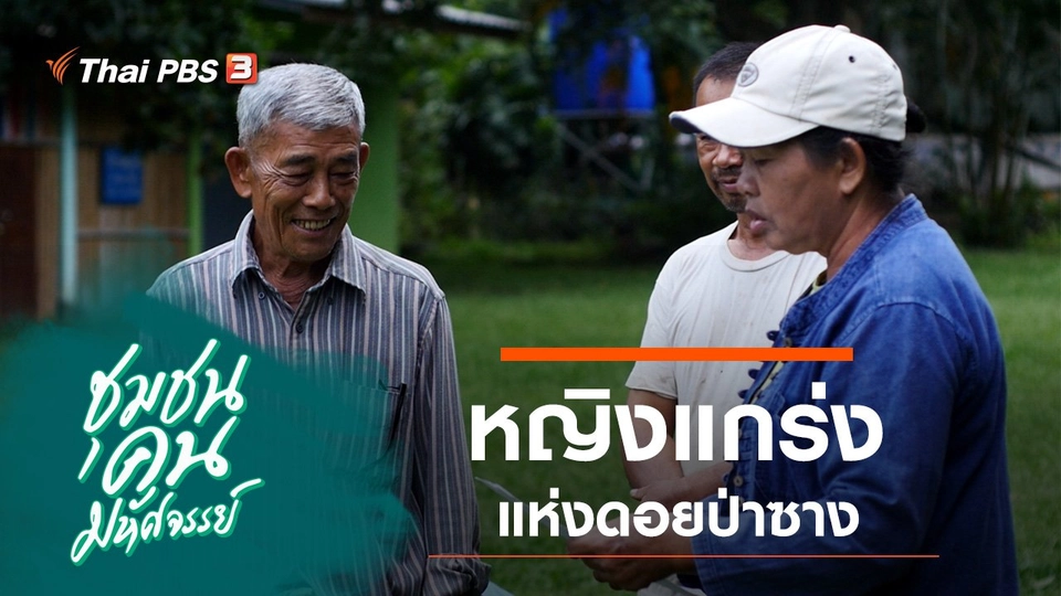 หญิงแกร่ง แห่งดอยป่าซาง