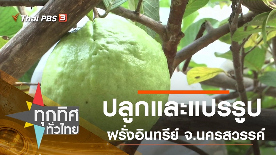 ประเด็นข่าว (11 ก.พ. 63)