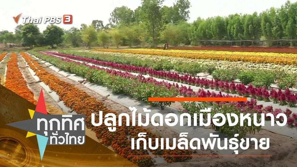 ประเด็นข่าว (14 ก.พ. 63)