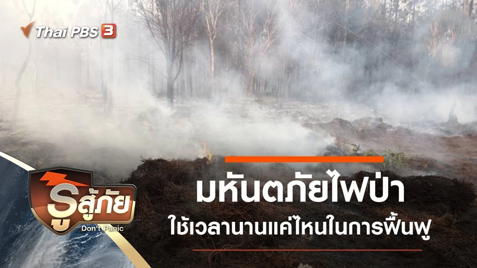 มหันตภัยไฟป่า