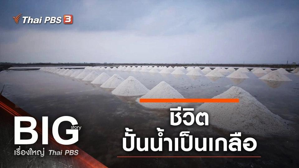 ชีวิตปั้นน้ำเป็นเกลือ