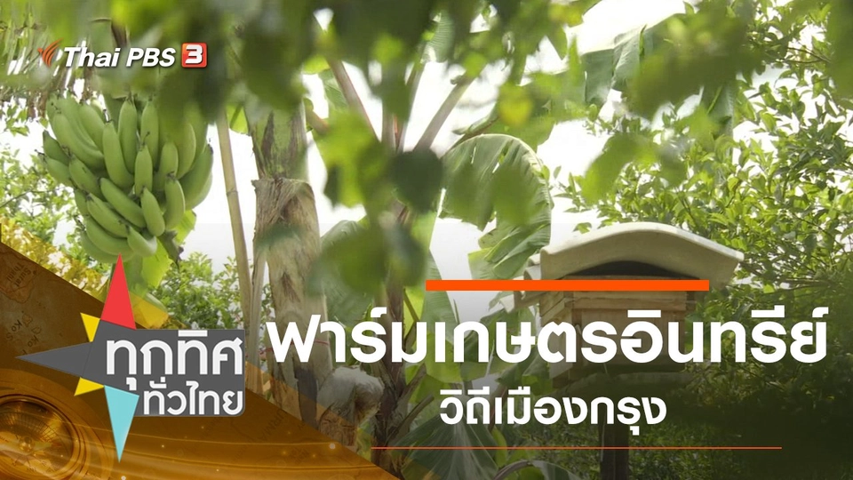 ประเด็นข่าว (28 ก.พ. 63)
