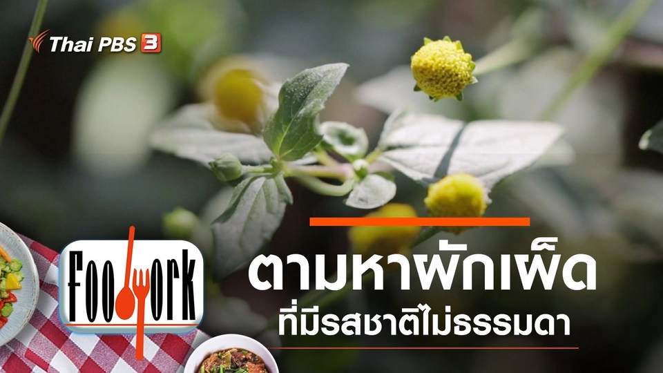 ผักเผ็ด