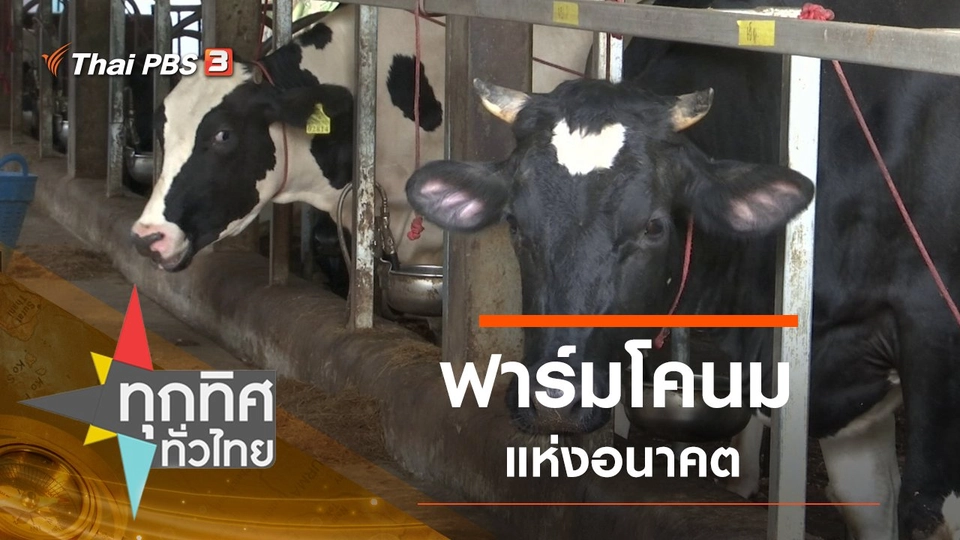 ประเด็นข่าว (3 มี.ค. 63)