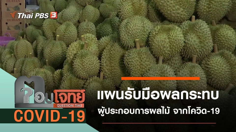 แผนรับมือผลกระทบผู้ประกอบการผลไม้ จากโควิด-19
