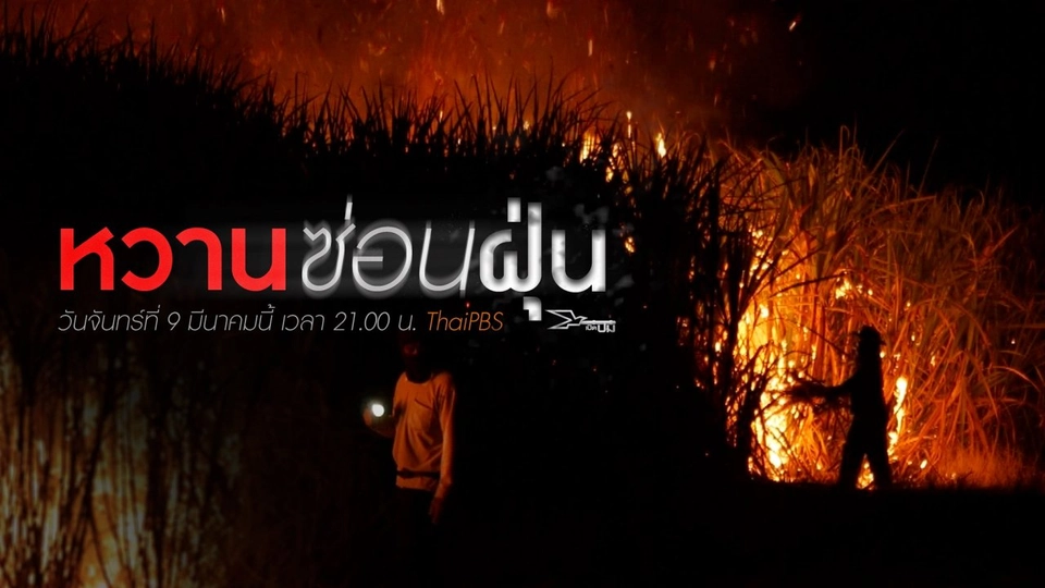 หวานซ่อนฝุ่น