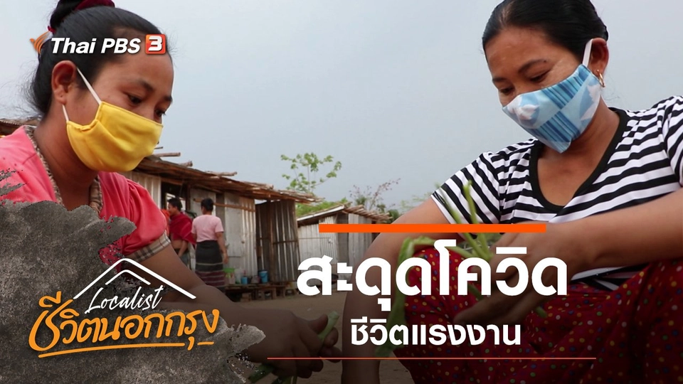 สะดุดโควิด ชีวิตแรงงาน