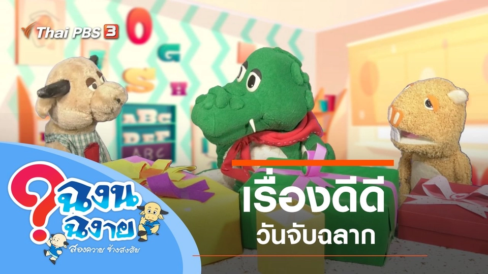 เรื่องดีดีวันจับฉลาก