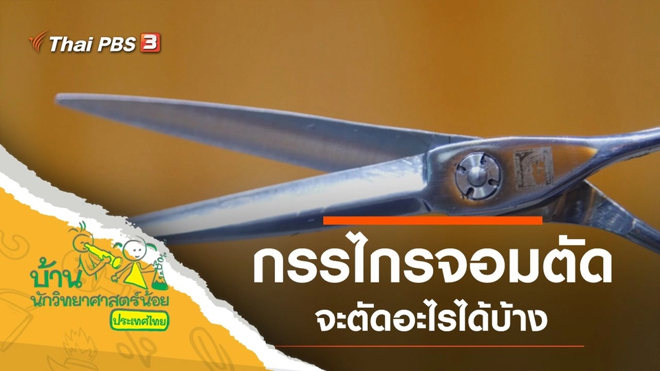 กรรไกรจอมตัด