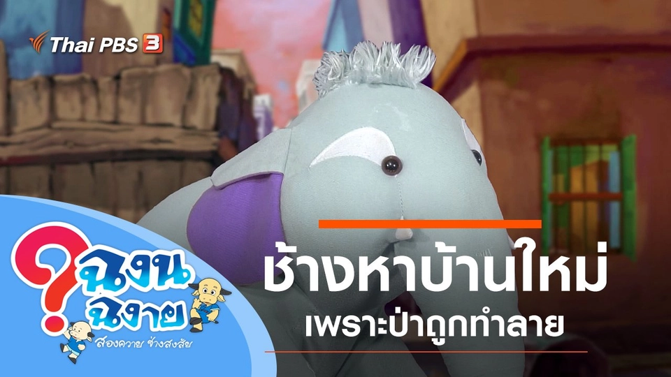 ช้างหาบ้านใหม่