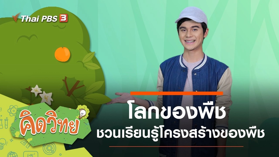 โลกของพืช