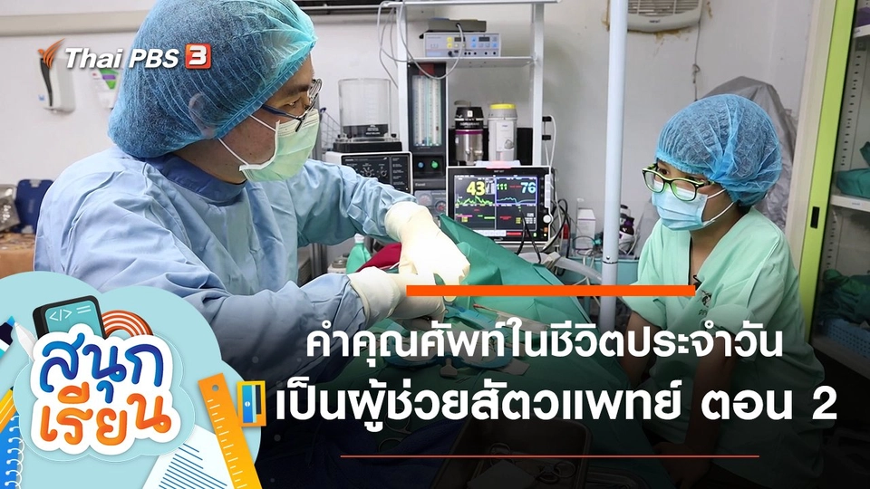 คำคุณศัพท์ในชีวิตประจำวัน และเป็นผู้ช่วยสัตวแพทย์ ตอน 2