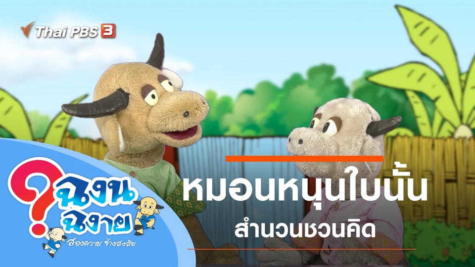 หมอนหนุนใบนั้น