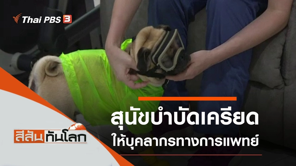 ประเด็นข่าว (6 มิ.ย. 63)