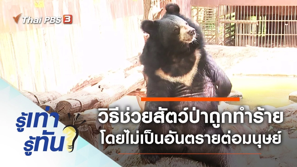 วิธีช่วยเหลือสัตว์ป่าถูกทำร้าย โดยไม่เป็นอันตรายต่อมนุษย์