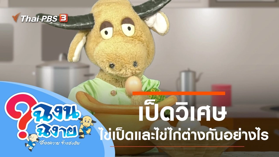 เป็ดวิเศษ