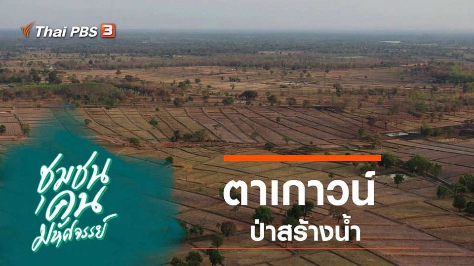 ตาเกาวน์ ป่าสร้างน้ำ